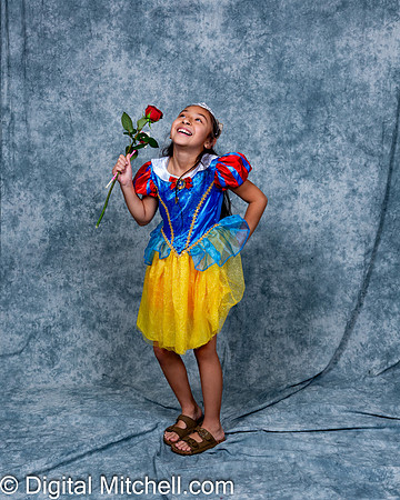 146-CHS Cheer 2026 Princess Evening