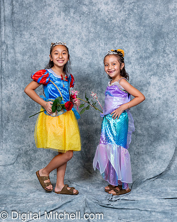 152-CHS Cheer 2026 Princess Evening