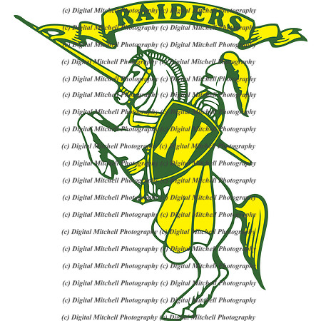 Northridge-Raiders horse transparent (2)