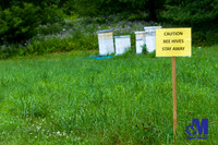 Lavender Hill Farm-006-E-Blog