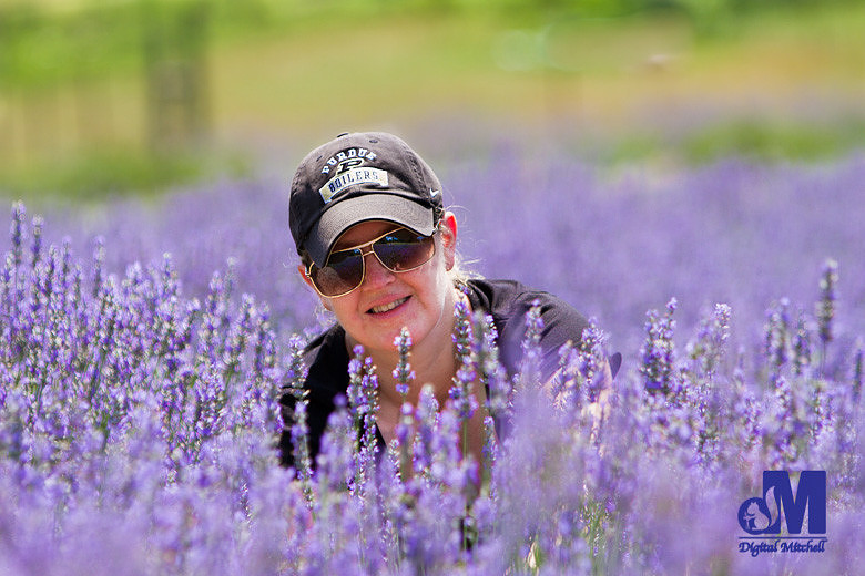 photograph of Dawn in a field of purple lavender flowers