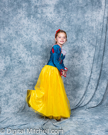 368-CHS Cheer 2026 Princess Evening
