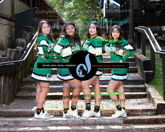 141-2024 Fall Cheer
