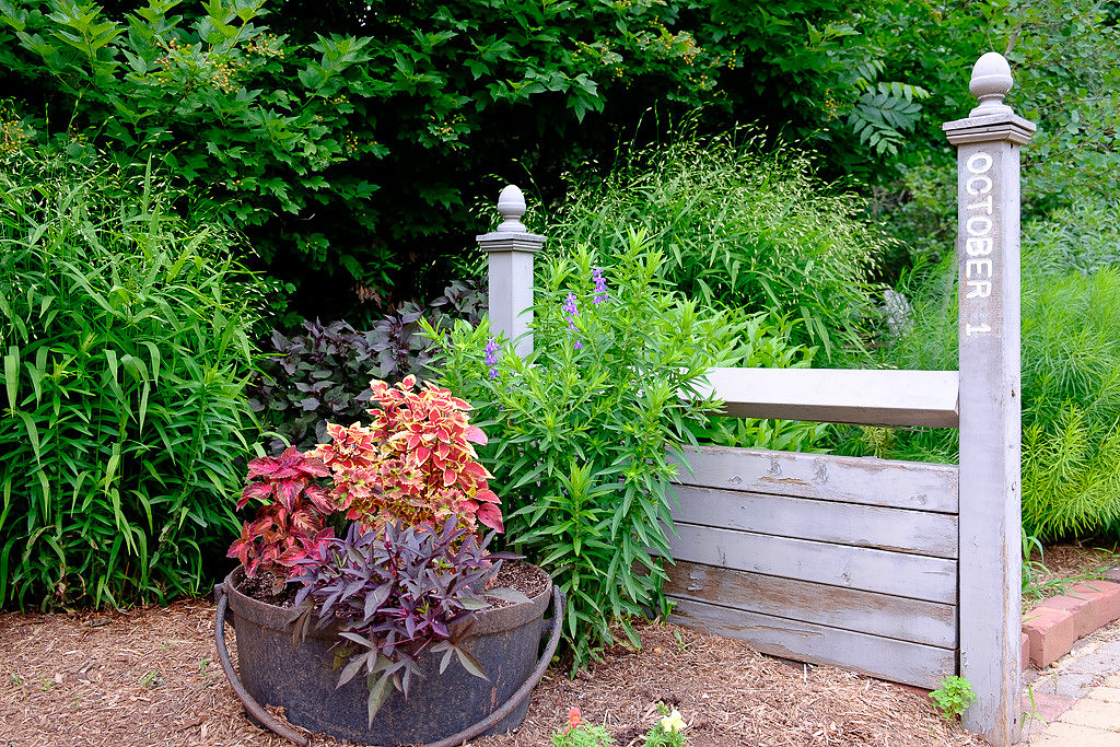 Gardens-10