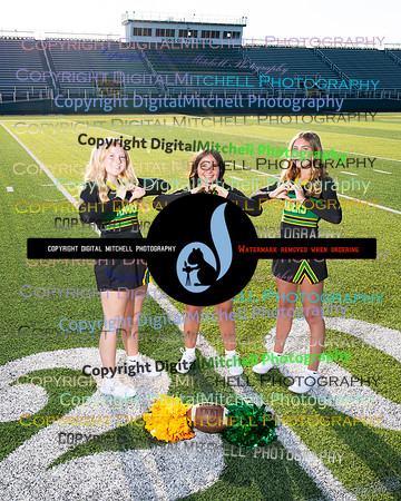 272-NHS 2024 Fall