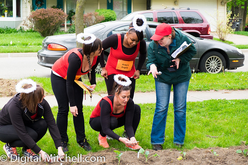photograph of teams guessing what crops are growing