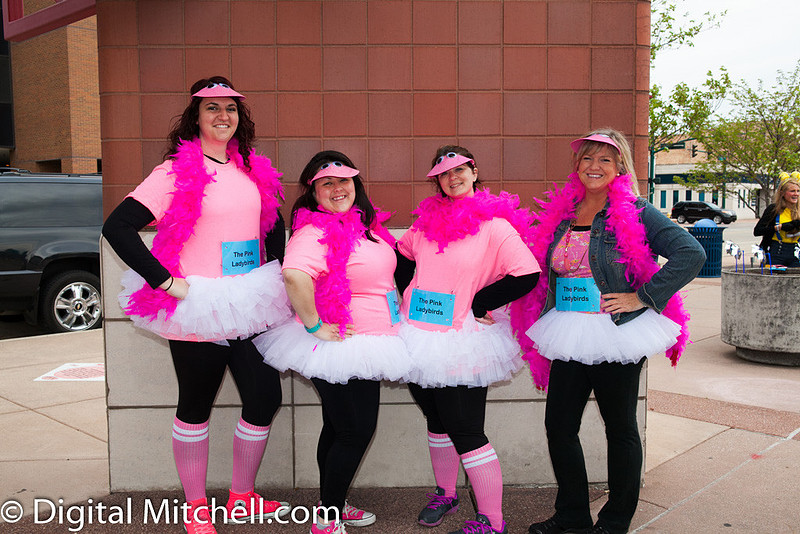 photograph of pink tutos 