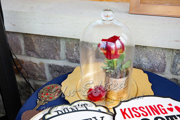 549-Wedding