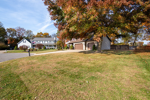 11-50531 Weeping Willow West-HDR