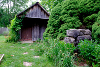 Gardens-19
