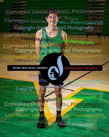 351-NHS 2025 Track and Softball