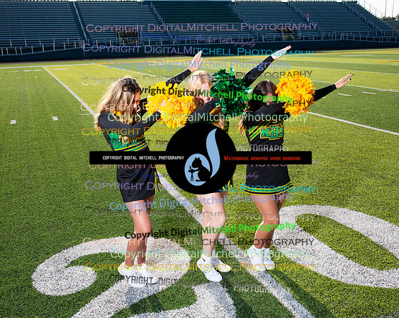 268-NHS 2024 Fall
