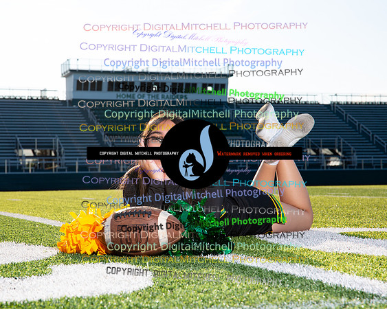 281-NHS 2024 Fall