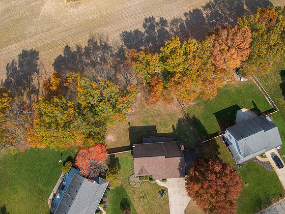424-50531 Weeping Willow West-HDR