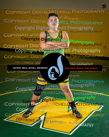 85-NHS 2024 wrestling