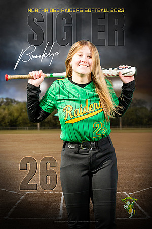 Sigler -Softball banner Ver2 -ToPrint