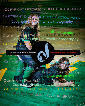 484-NHS 2025 Track and Softball
