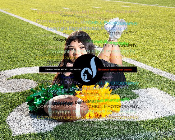 298-NHS 2024 Fall