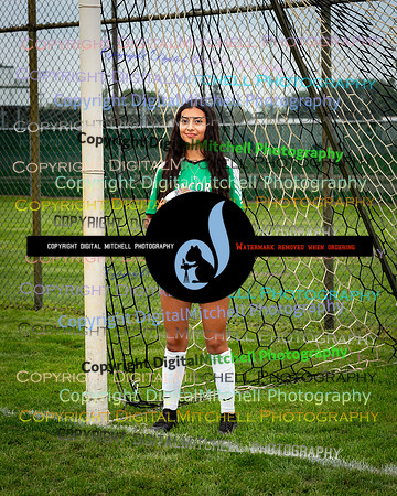 394-CHS 2023 Fall