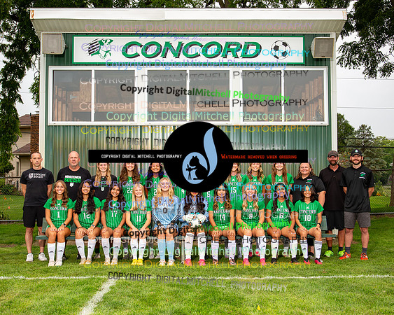 353-CHS 2023 Fall