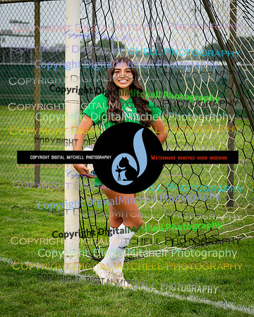 454-CHS 2023 Fall