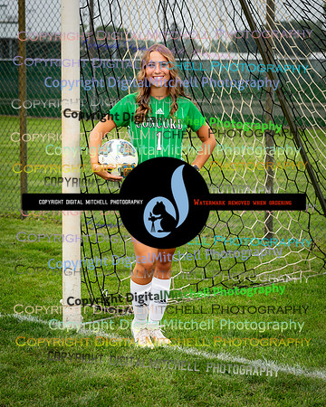458-CHS 2023 Fall