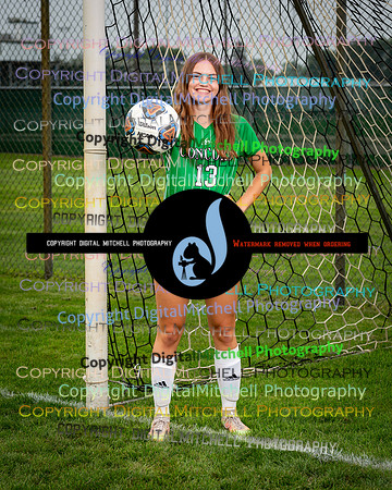 482-CHS 2023 Fall