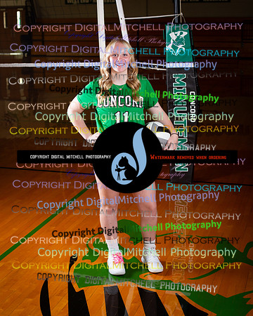 213-CHS 2023 Fall