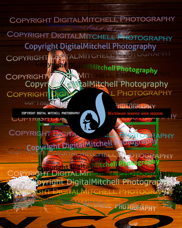 51-2024 Winter Cheer