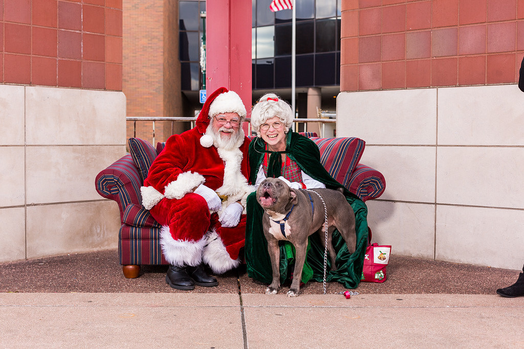 Santa with a dog