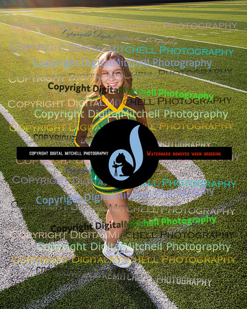 520-NHS 2024 Fall