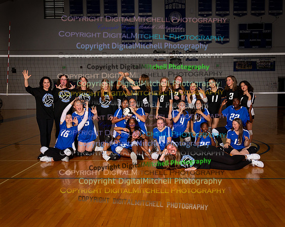 99-2024 VB