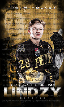 Jordan Lindzy v1 LARGE