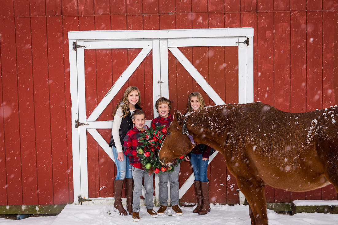 picture of horse eating Christmas wreath