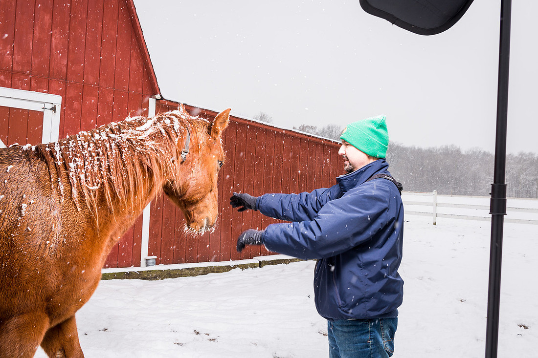 picture of horse getting in the way of the photo shoot