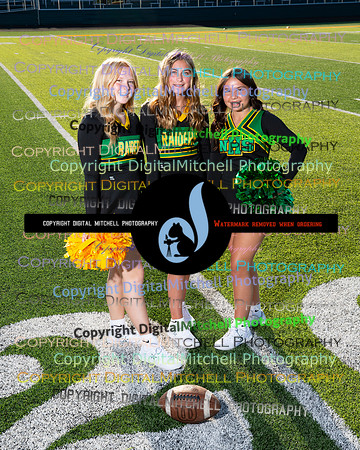 264-NHS 2024 Fall