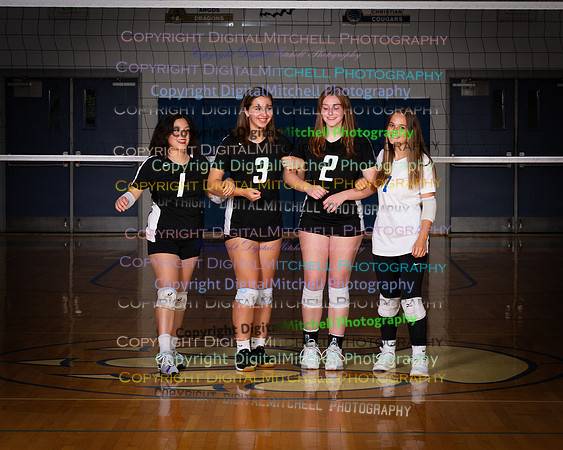 147-2024 VB