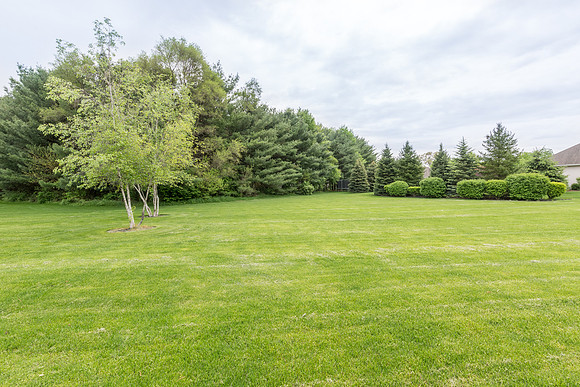 51618 meadow ponte-37-HDR