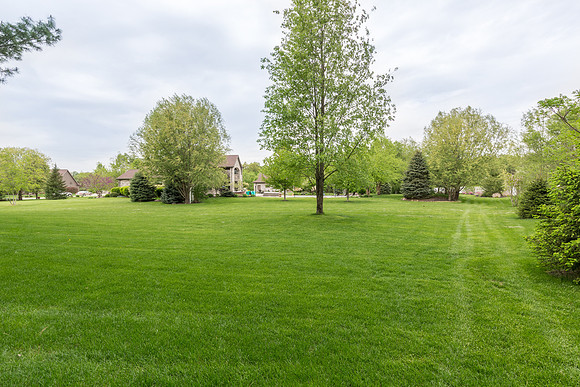 51618 meadow ponte-45-HDR