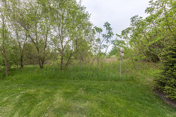 51618 meadow ponte-49-HDR