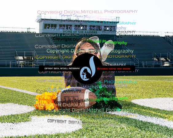 278-NHS 2024 Fall