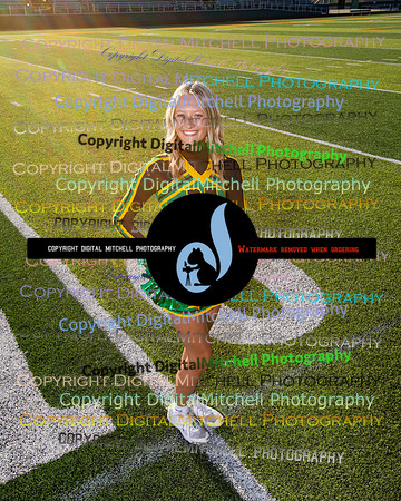528-NHS 2024 Fall
