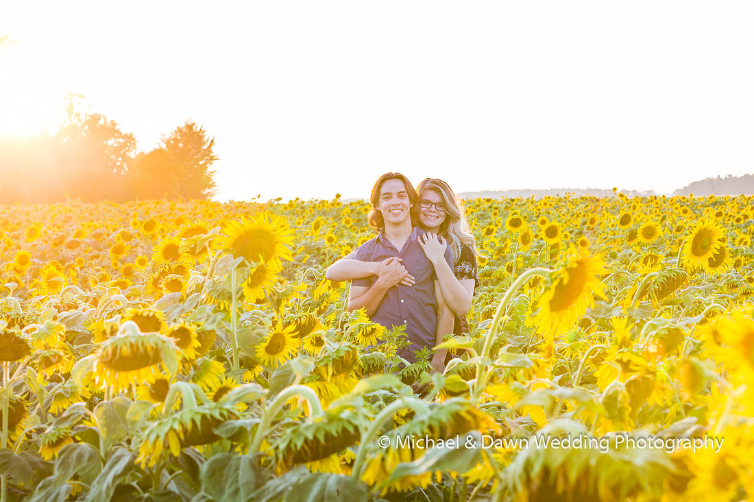 picture of engagement session in the sunflowers.