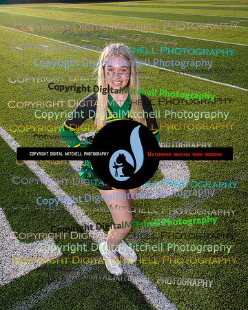 529-NHS 2024 Fall