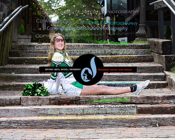 86-2024 Fall Cheer