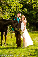 252-Heidi n Brandon n Horse