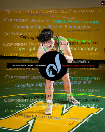 124-NHS 2024 wrestling
