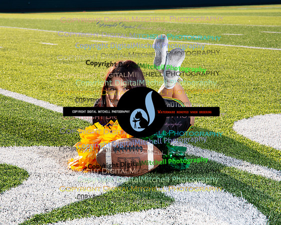 292-NHS 2024 Fall
