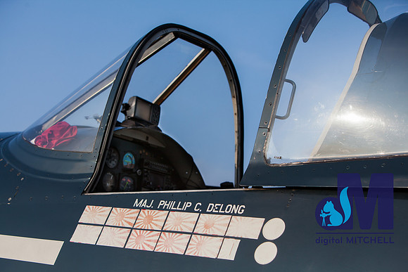 WarBirds2013-1436