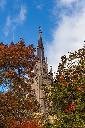 261-Golden Dome-Fall